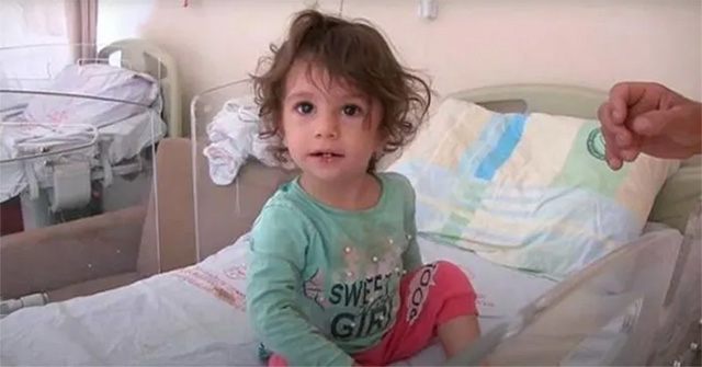 Bị rắn cắn vào môi, bé gái 2 tuổi…cắn chết luôn con rắn