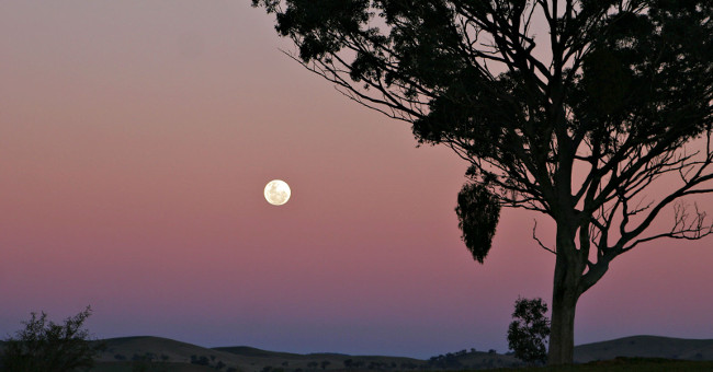 Khám phá các giai đoạn trong chu kỳ của Mặt Trăng