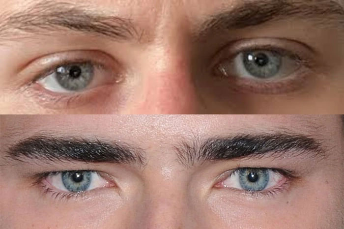 Dưới những áp lực môi trường này, quá trình tiến hóa của mắt người có thể đã bị ảnh hưởng