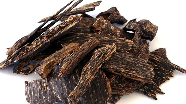 12 loại gỗ quý hiếm và đắt nhất trên thế giới