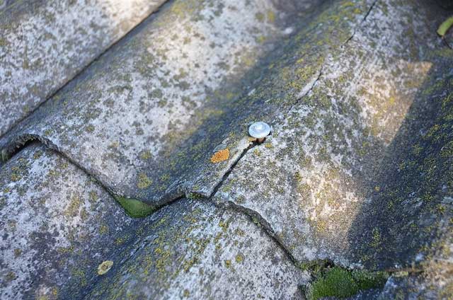 Ở các nước đang phát triển và ở Việt Nam thì amiăng trắng vẫn tiếp tục được sử dụng.