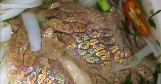 Vì sao có những miếng thịt bò lại ánh lên màu 7 sắc cầu vồng?