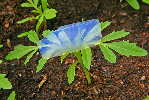 Khám phá siêu vật liệu Aerogel của tương lai