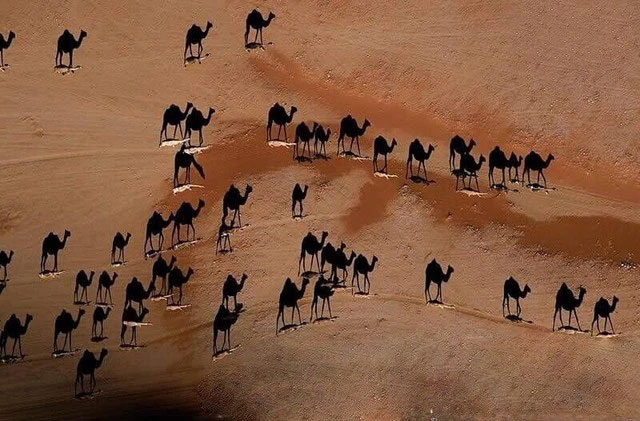 anh-chup-lac-da-1 Ảnh của nhiếp ảnh gia Mỹ George Steinmetz.