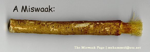 Khúc gỗ nhai Miswak.