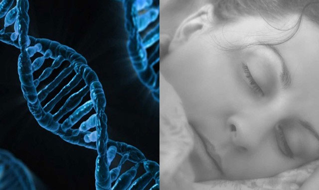 giac-ngu-sieu-ngan Những người mang đột biến gene này vô cùng hiếm