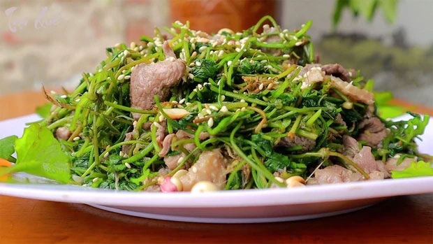 mon-an-tu-rau-ma Rau má chứa khá nhiều dưỡng chất thực vật (phytonutrients) quý hiếm.