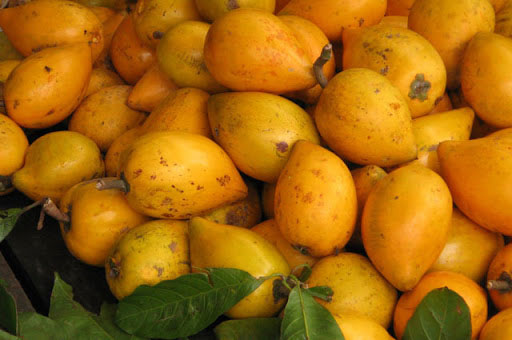 qua-trung-ga-1-1 Xanthophyll và vitamin C trong quả trứng gà tốt cho mắt.