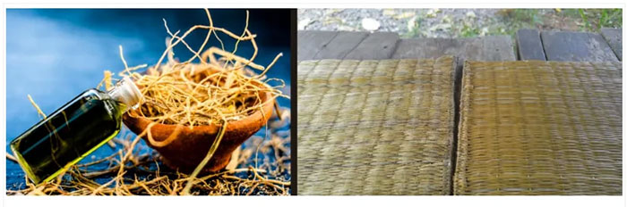 re-cua-co-vetiver Rễ của cỏ vetiver, còn được gọi là Khus, được phơi khô và dệt thành chiếu.