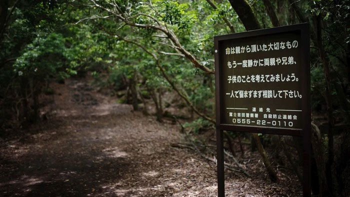 rung-aokigahara-1 Aokigahara là một khu rừng rất già với hơn 1.000 năm tuổi.