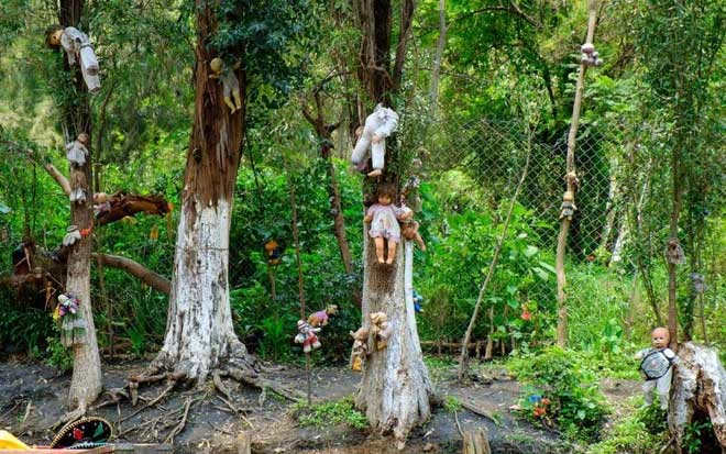 rung-aokigahara-2 Những hình ảnh đen tối và bi thương trong Aokigahara.