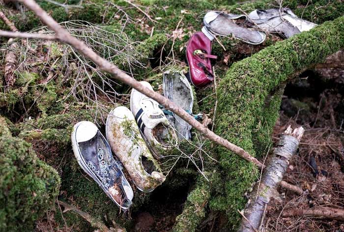 rung-aokigahara-3