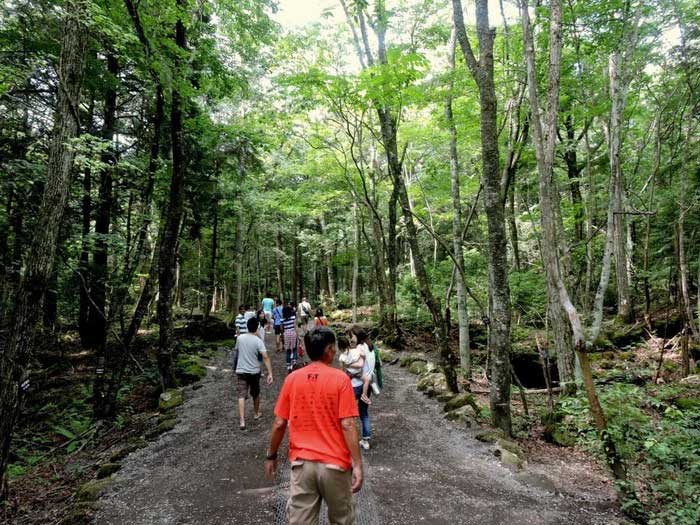 rung-aokigahara-5