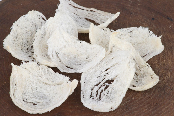 swiftlet-1 Tổ yến có giá lên tới hàng trăm triệu đồng cho mỗi kg.