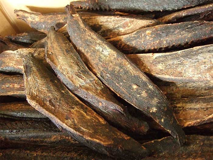katsuobushi-4 Katsuobushi có thể khiến nhiều người lầm tưởng là khúc gỗ.