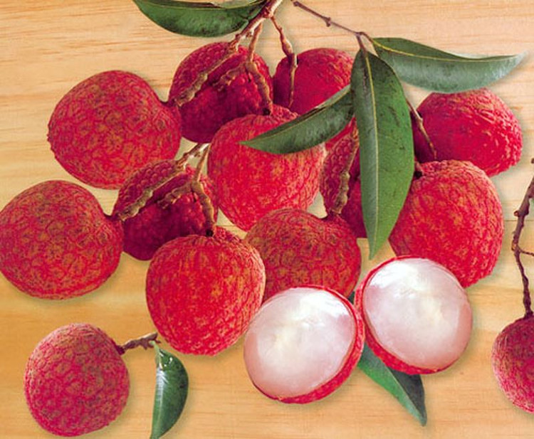 qua-vai-3-1 Vải giàu các chất thân thiện với làn da như thiamin, niacin và đồng.