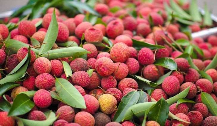 qua-vai-5 Vải mang nhiều dưỡng chất và vitamin giúp chống lại vô số căn bệnh.