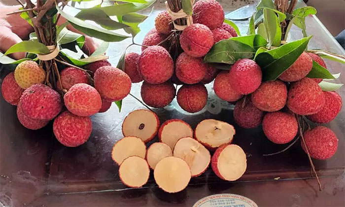 Vải thiều