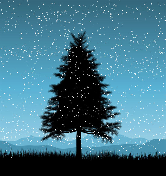 Cây thông Noel Cây thông Noel