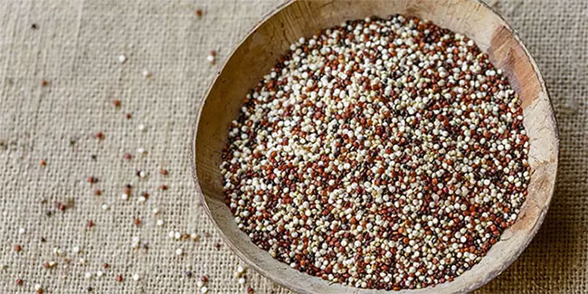 hat-quinoa-2-1 Quinoa là nguồn dinh dưỡng tuyệt vời, đặc biệt cho người ăn kiêng.