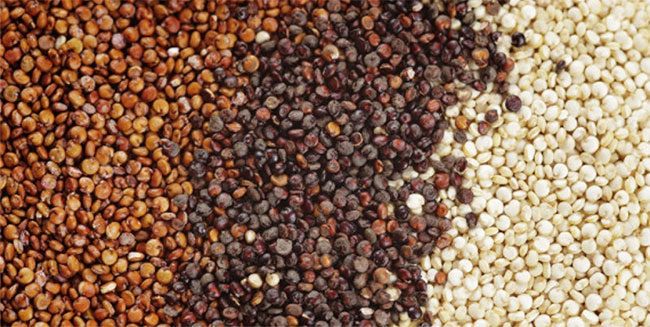 hat-quinoa-3 Có hơn 100 loại hạt quinoa trên thế giới, nhưng phổ biến nhất là hạt quinoa đỏ, đen và trắng.