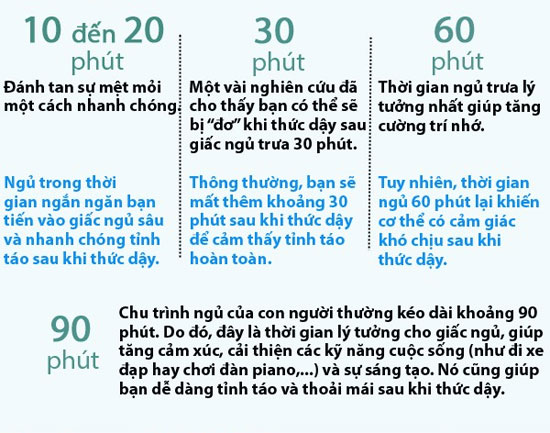 Học cách ngủ trưa "chuyên nghiệp" nhờ bí kíp khoa học Học cách ngủ trưa "chuyên nghiệp" nhờ bí kíp khoa học