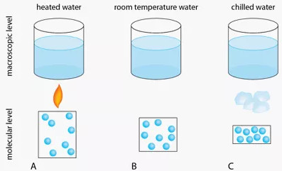 5 siêu năng lực "quái dị" của cơ thể mà bạn chưa bao giờ nhận ra 5 siêu năng lực "quái dị" của cơ thể mà bạn chưa bao giờ nhận ra