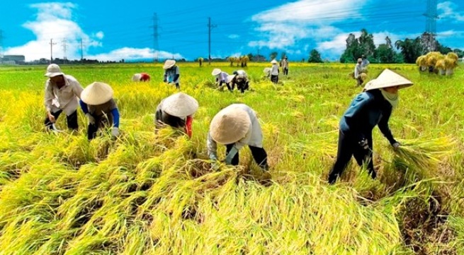 Cần trang bị thiết bị chống nắng khi làm việc ngoài trời nắng để phòng say nắng, say nóng. Cần trang bị thiết bị chống nắng khi làm việc ngoài trời nắng để phòng say nắng, say nóng.