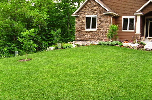 Tác dụng diệt cỏ dại