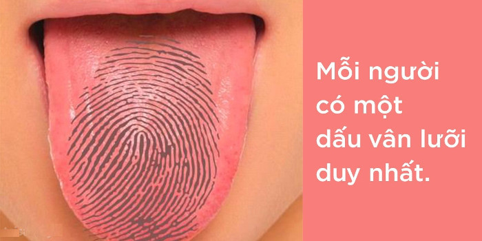 Vân lưỡi Vân lưỡi