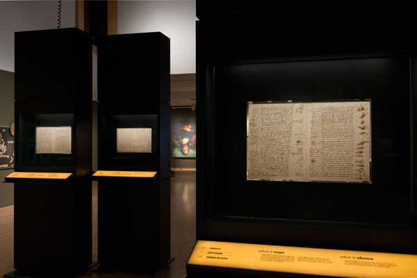 Cuốn sách đắt nhất thể hiện chất thiên tài của Leonardo da Vinci