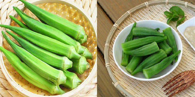 dau-bap-1 Đậu bắp