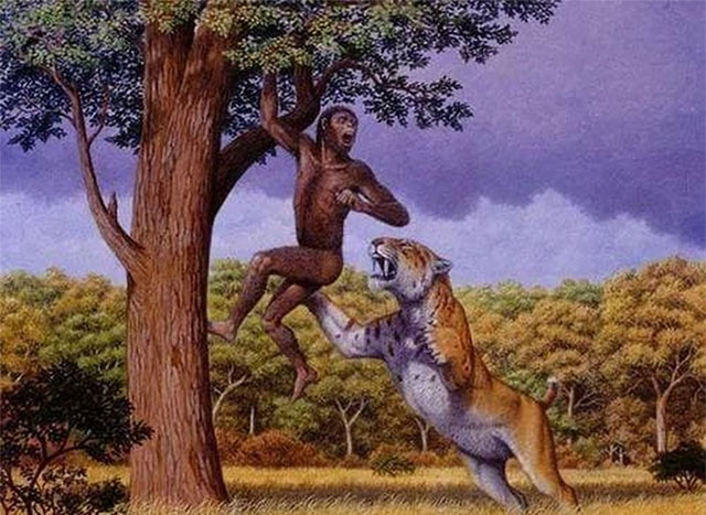 nguoi-tien-su-1 Chúng ta phải luôn cảnh giác trước sự tấn công của những kẻ săn mồi như mèo