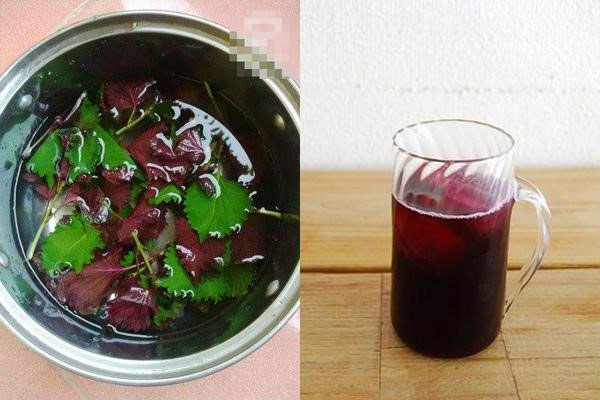 nuoc-la-tia-to Uống nước lá tía tô quá nhiều có thể khiến bạn bị tăng huyết áp.