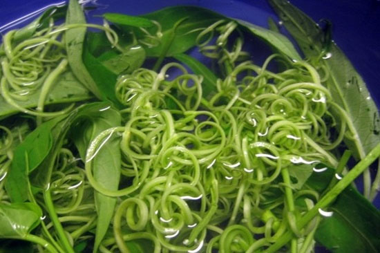 Ăn rau muống sống có thể bị đầy bụng, đau bụng, dị ứng, hoặc nhiễm ký sinh trùng sán lá… lớn vô cùng nguy hiểm cho sức khỏe. Ăn rau muống: Những điều cần hết sức lưu ý