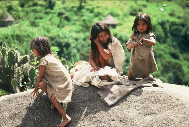 Trẻ em người Kogi.