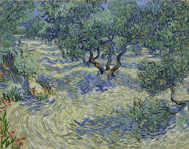 buc-tranh-nhung-cay-o-liu-1 Bức tranh "Những cây ô liu" nổi tiếng của họa sĩ Vincent van Gogh.