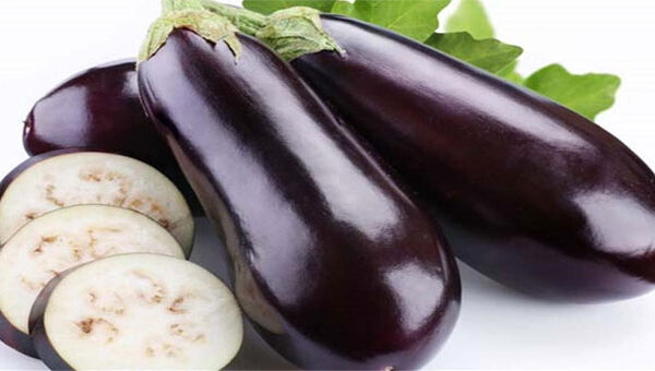 Trong trái cà tím có gì mà người Nhật rất thích ăn và ăn rất nhiều?