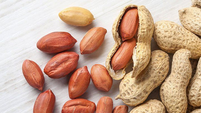 Người bị phù thũng ăn lạc sẽ khiến khiến cơ thể bị tổn thương, máu ứ đọng.
