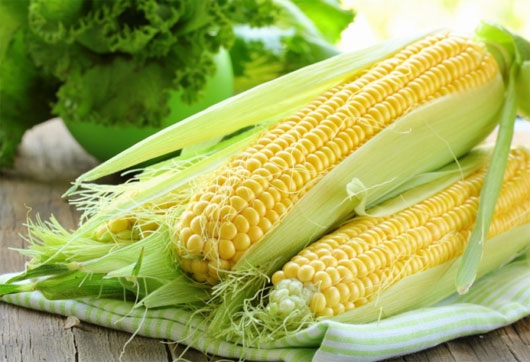Lý do ăn ngô tốt cho sức khỏe Lý do ăn ngô tốt cho sức khỏe