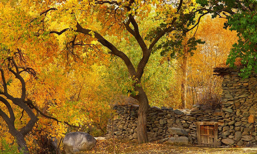 Phụ nữ Hunza có thể dễ dàng thụ thai trong độ tuổi từ 60 đến 90.