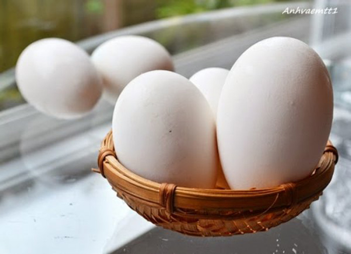 Bà bầu bổ sung trứng ngỗng thường xuyên có thể béo phì và tăng lượng cholesterol trong máu