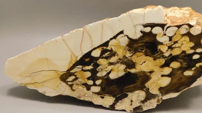 go-hoa-thach-12 Gỗ đậu phộng (Peanut Wood)