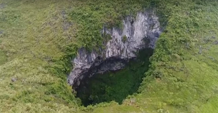 Hố sụt khổng lồ trong rừng.